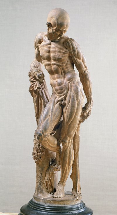 Hombre musculoso, 1569 de Paludanus